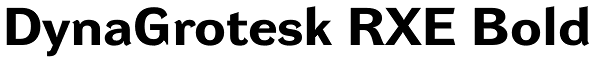 DynaGrotesk RXE Bold Font