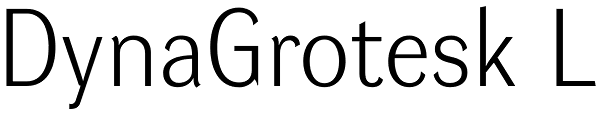 DynaGrotesk L Font