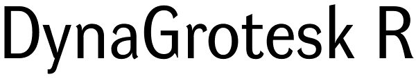 DynaGrotesk R Font