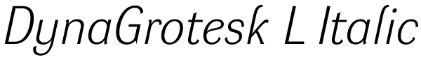 DynaGrotesk L Italic Font