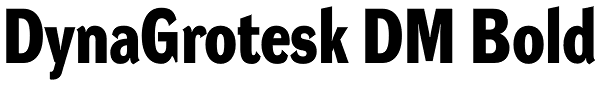 DynaGrotesk DM Bold Font