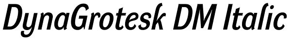 DynaGrotesk DM Italic Font