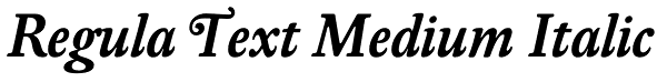 Regula Text Medium Italic Font