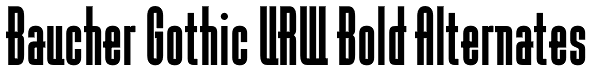 Baucher Gothic URW Bold Alternates Font