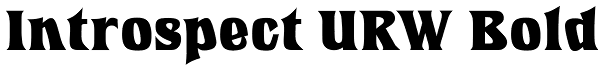 Introspect URW Bold Font