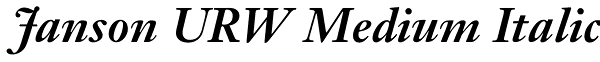 Janson URW Medium Italic Font