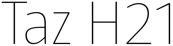 Taz H21 Font