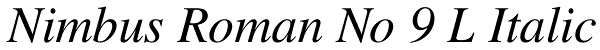 Nimbus Roman No 9 L Italic Font