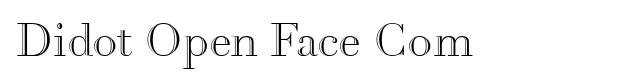 Didot Open Face Com Font