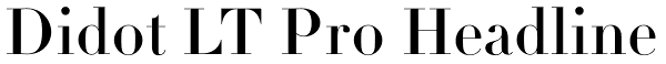 Didot LT Pro Headline Font