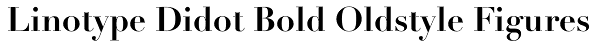 Linotype Didot Bold Oldstyle Figures Font