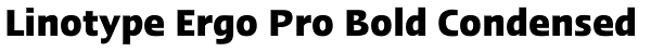 Linotype Ergo Pro Bold Condensed Font