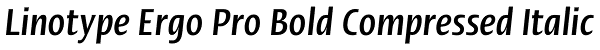 Linotype Ergo Pro Bold Compressed Italic Font