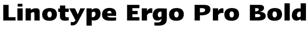 Linotype Ergo Pro Bold Font