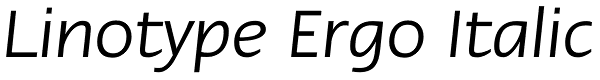 Linotype Ergo Italic Font