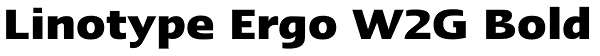 Linotype Ergo W2G Bold Font