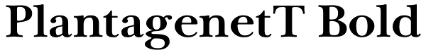 PlantagenetT Bold Font