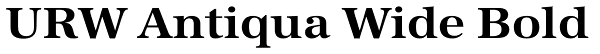 URW Antiqua Wide Bold Font