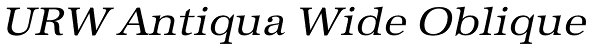 URW Antiqua Wide Oblique Font