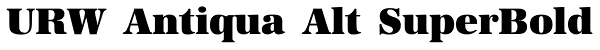 URW Antiqua Alt SuperBold Font