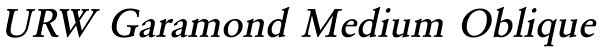 URW Garamond Medium Oblique Font