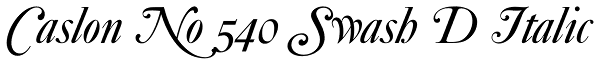 Caslon No 540 Swash D Italic Font