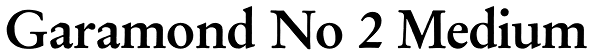 Garamond No 2 Medium Font