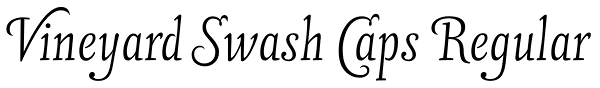 Vineyard Swash Caps Regular Font