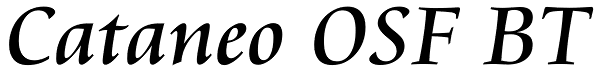 Cataneo OSF BT Font