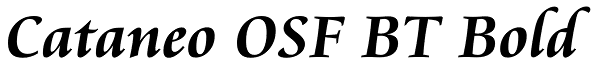 Cataneo OSF BT Bold Font