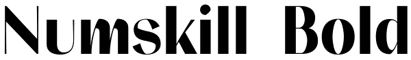 Numskill Bold Font