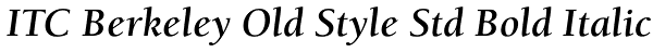 ITC Berkeley Old Style Std Bold Italic Font