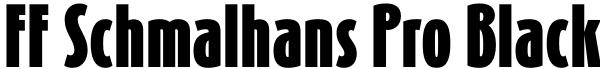 FF Schmalhans Pro Black Font