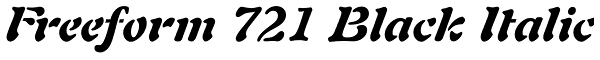 Freeform 721 Black Italic Font