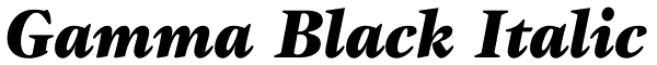 Gamma Black Italic Font