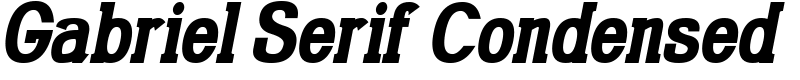 Gabriel Serif Condensed Font