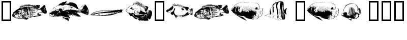 FishyPrint One AOE Font