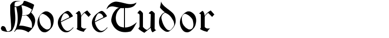 BoereTudor Font