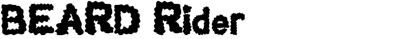 BEARD Rider Font