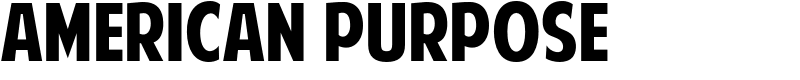 American Purpose Font