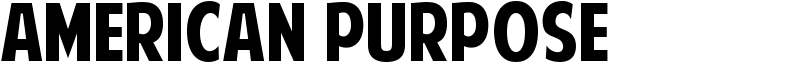 American Purpose Font