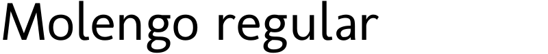 Molengo regular Font