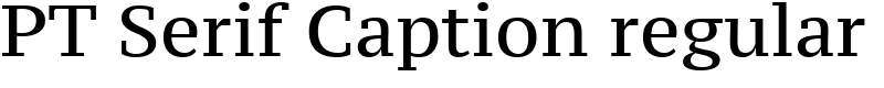 PT Serif Caption regular Font