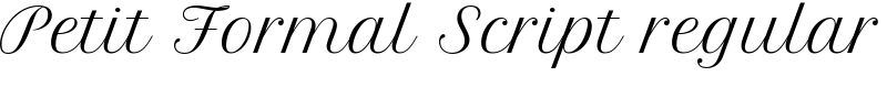 Petit Formal Script regular Font