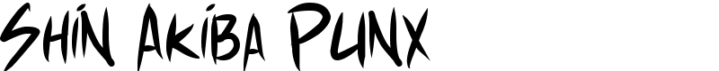 Shin Akiba Punx Font