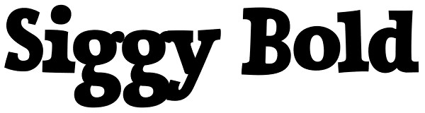 Siggy Bold Font