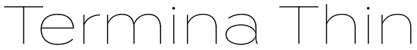 Termina Thin Font