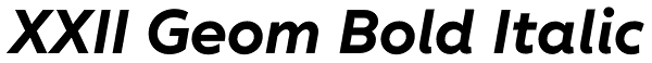 XXII Geom Bold Italic Font