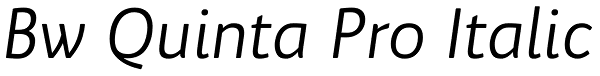 Bw Quinta Pro Italic Font