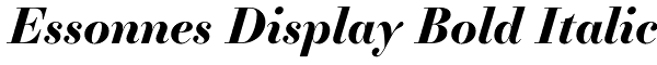 Essonnes Display Bold Italic Font